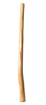 Medium Size Natural Finish Didgeridoo (TW1631)